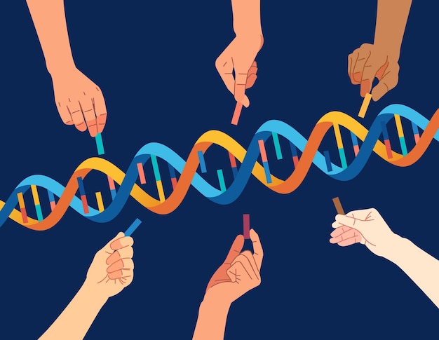 Vector diversity people hand that completes the dna helix genetic concept vector illustration