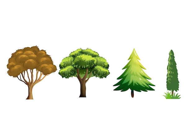 Vector diversity of trees set on white background