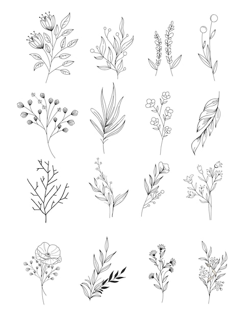 Vector diversity of trees set on white. cartoon bush and tree set. vector trees and bushes