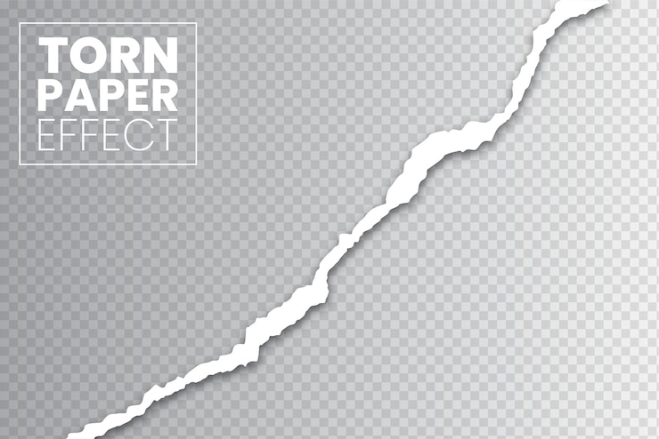 Vector divider ripped torn paper on transparent background vector