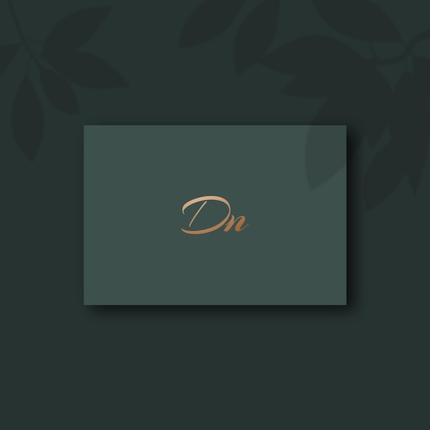 Dn logo design vector image