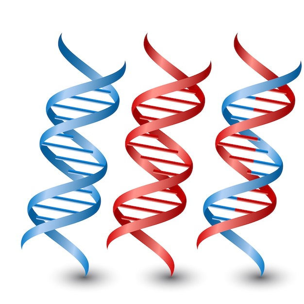 DNA-bundels op wit