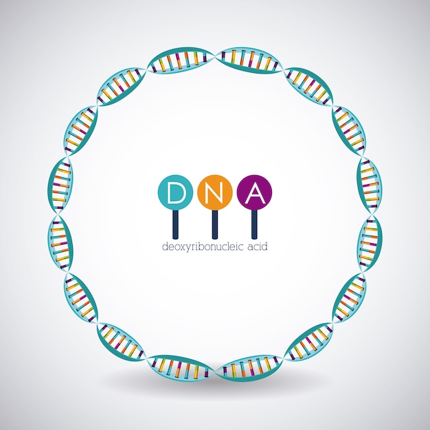 Vector dna circle structure chromosome icon