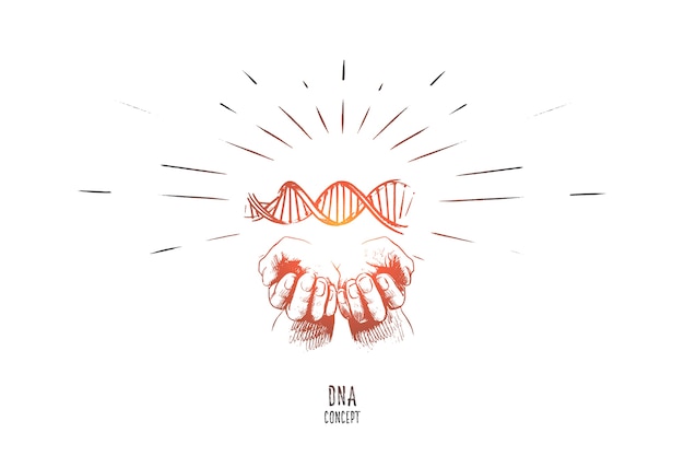 Иллюстрация концепции ДНК