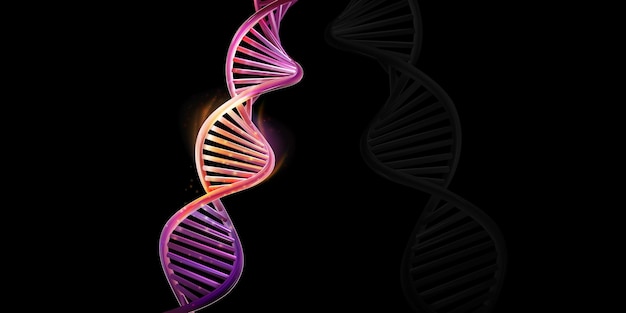 Dna double helix model on a black background