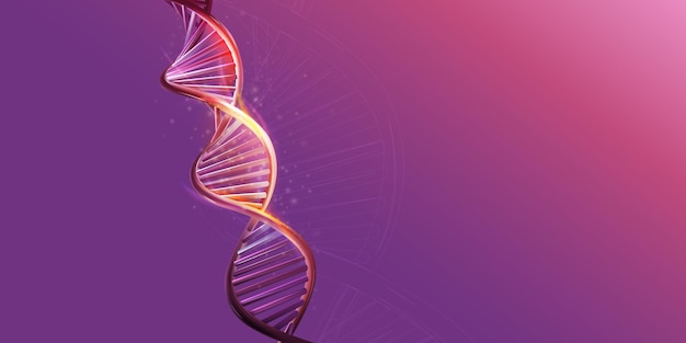 Dna double helix model on a purple background