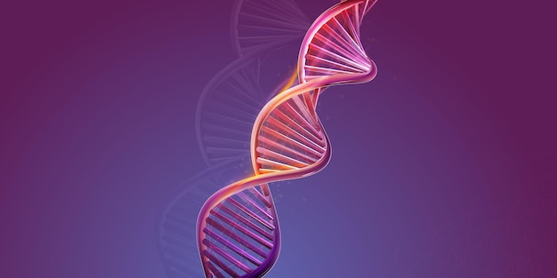 Vector dna dubbele helixstructuur op een paarse achtergrond