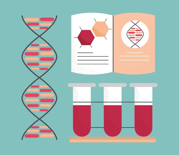 Dna genetische chemie