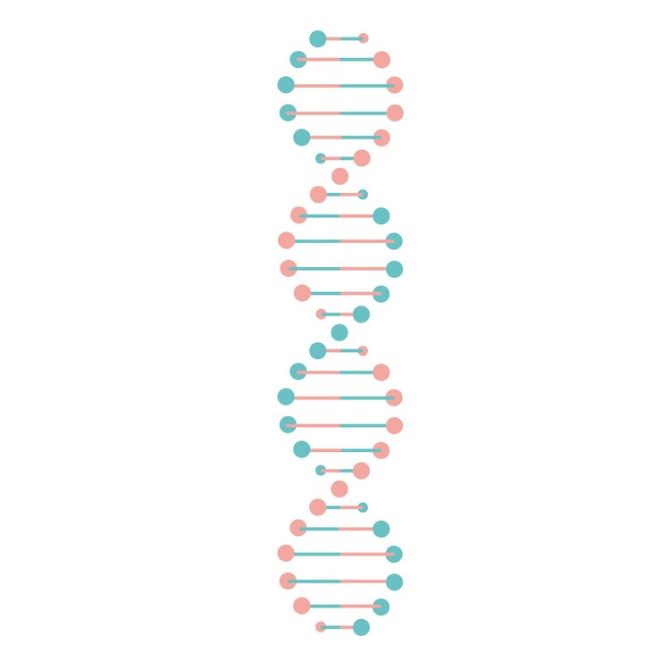Vector dna helix chalk icon deoxyribonucleic nucleic acid structure chromosome molecular biology