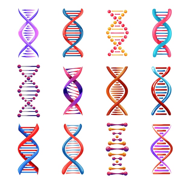 Dna 나선 아이콘, 유전 의학 벡터 표지판. 인간 유전자 코드, 분자 나선 구조, 과학 및 과학 연구. Dna 가닥 요소, 흰색 배경에 고립 된 진화 기호 집합