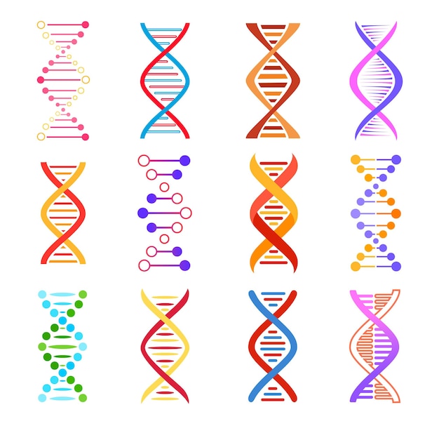 Vector dna helix icons, genetic medicine vector signs. spiral molecule structure, science and scientific research, colorful dna design elements, human gene code evolution symbols isolated on white background