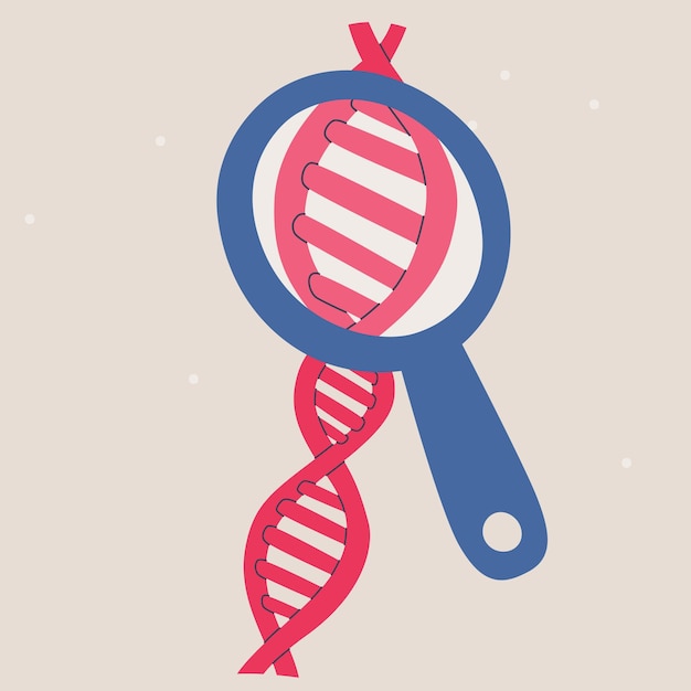 Vector dna helix under a magnifying glass or loupe dna research genetic tests and ethnicity test