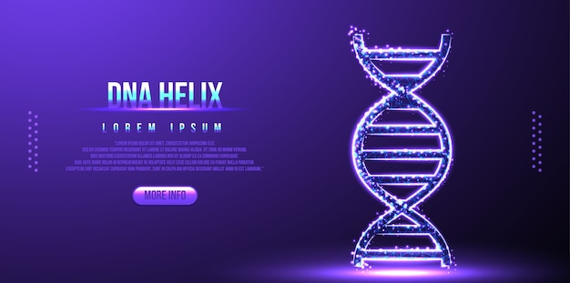 Dna, molecola di elica, wireframe low poly