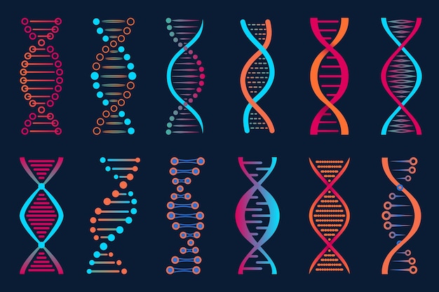 矢量图标基因组dna染色体抽象的符号