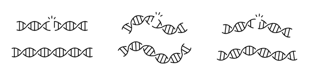 DNA アイコンの長い遺伝分子構造編集可能なストローク