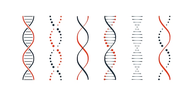 Vector dna icons set simple illustration