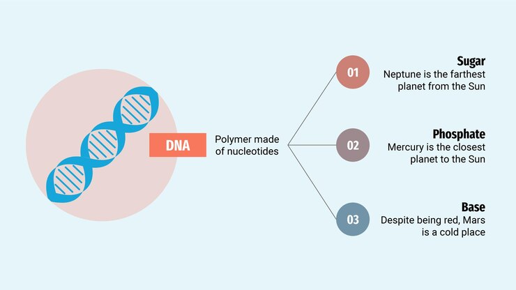 Vector dna infographics