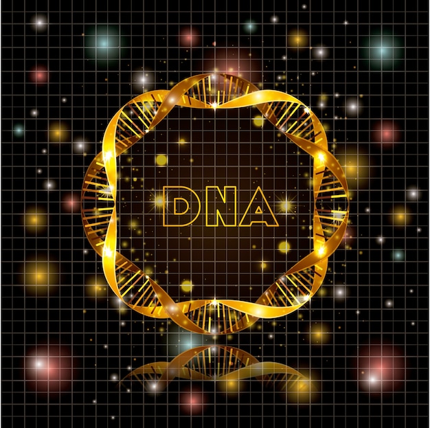 Dna molecule circular golden structure