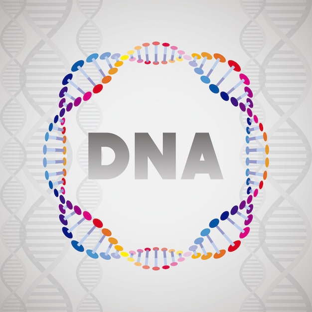 Dna molecule circular structure