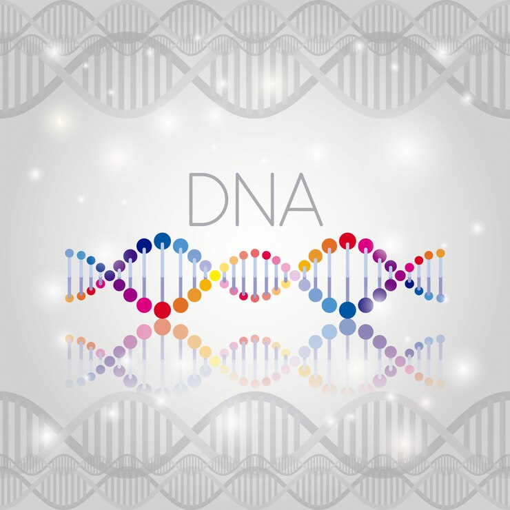 ライン構造上のDNA分子