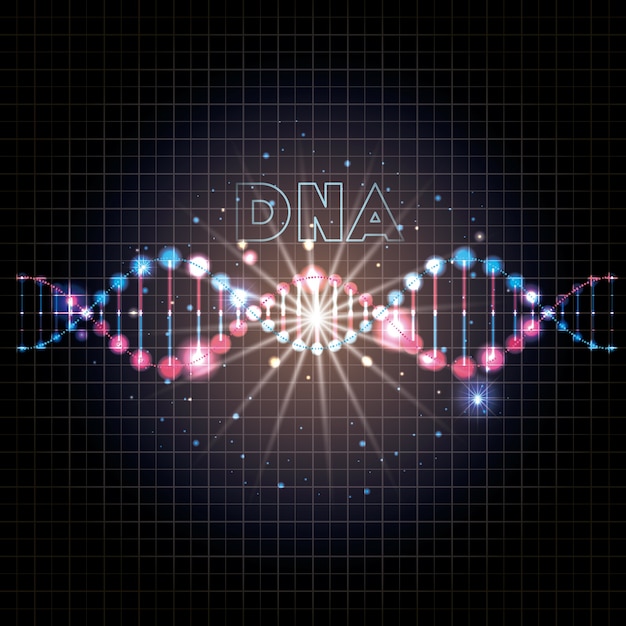 벡터 선 조명에 dna 분자