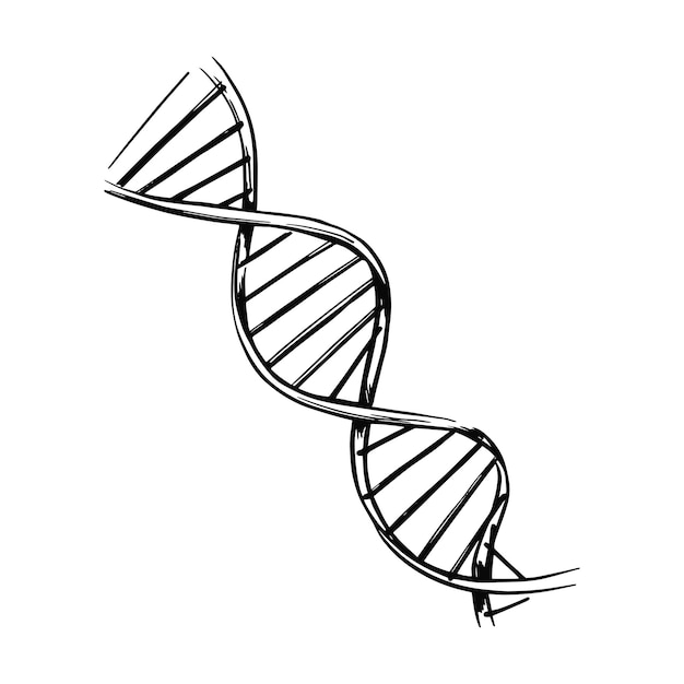 Vector dna molecule structure genetic and chemistry research  sketch