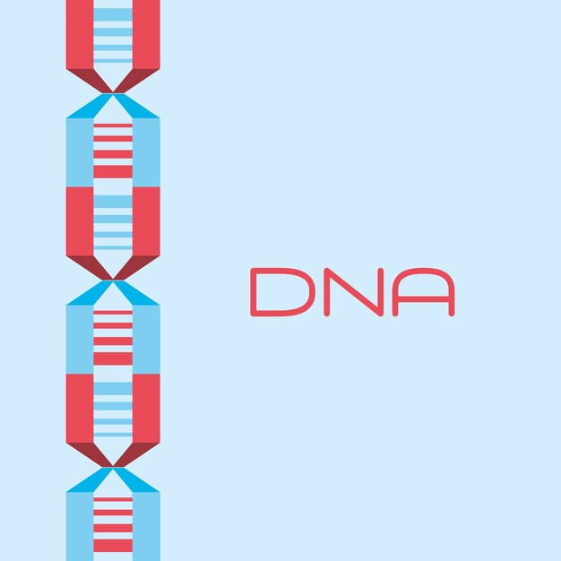 Vector dna molecule structure