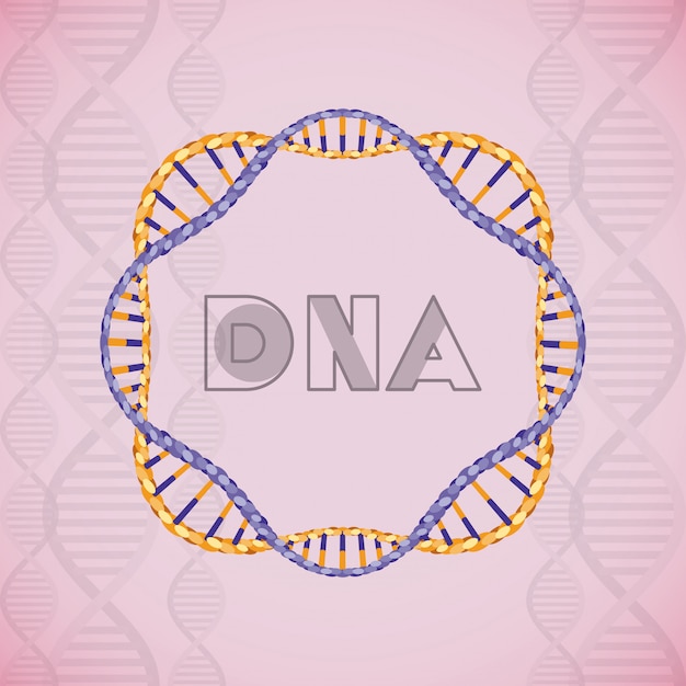 DNA-molecuul cirkelvormige structuur