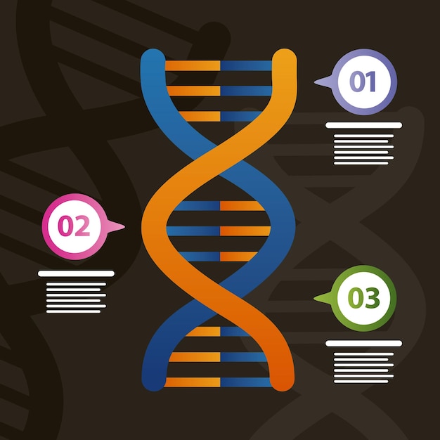 Dna-molecuul en genetische infographic
