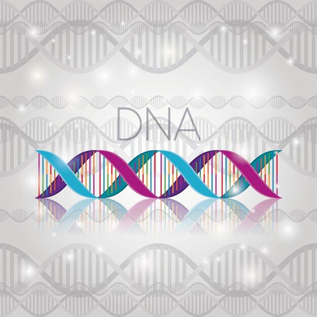 DNA-molecuul on-line structuur