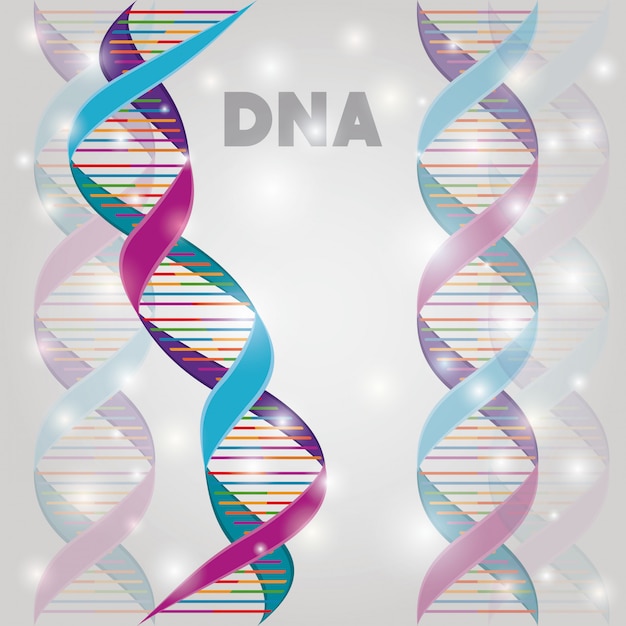 DNA-molecuulstructuur