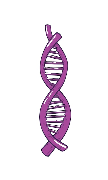 Вектор Молекула днк или дезоксирибонуклеиновой кислоты, несущая генетическую информацию, изолирована на белом фоне. двойная спиральная структура. биология, генетика и геномика. реалистичные красочные векторные иллюстрации.