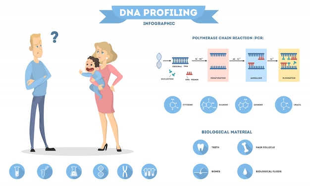 Vector dna and parenthood. health of baby from parents.