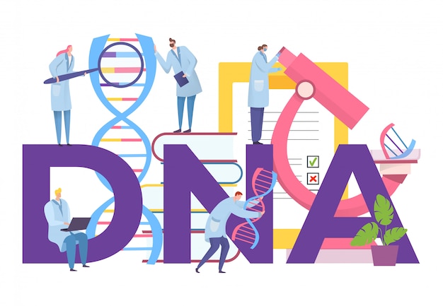 Vettore ricerca del dna con il gene in laboratorio, illustrazione. lavoro di scienza biotenologica, molecola di studio del carattere uomo donna