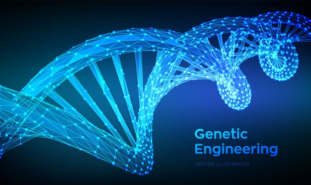 DNA 서열. 추상적 인 3d 다각형 와이어 프레임 DNA 분자 구조 메쉬.