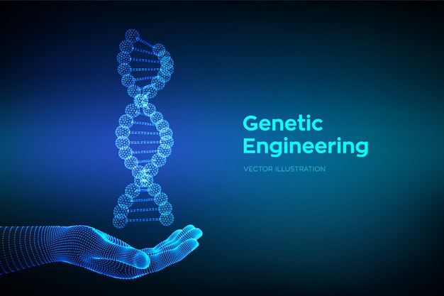 Vettore sequenza di dna in mano. wireframe dna codice molecole struttura mesh.