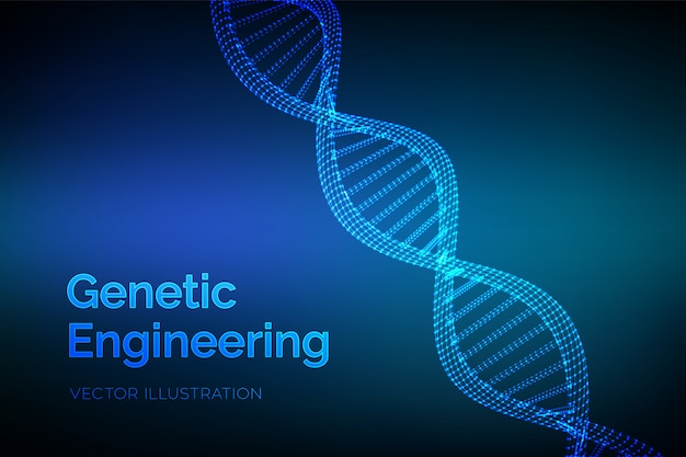 Dna 서열. 와이어 프레임 Dna 코드 분자 구조 메시.