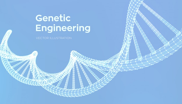 Dna 서열. 와이어 프레임 Dna 코드 분자 구조 메시.