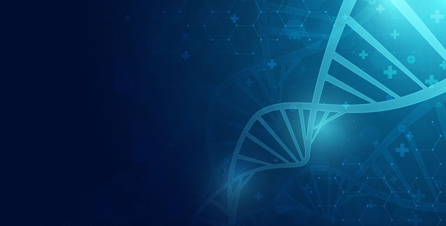 Molecola a spirale del dna spirale dell'elica della molecola del dna wireframe poligonale astratto scienza medica