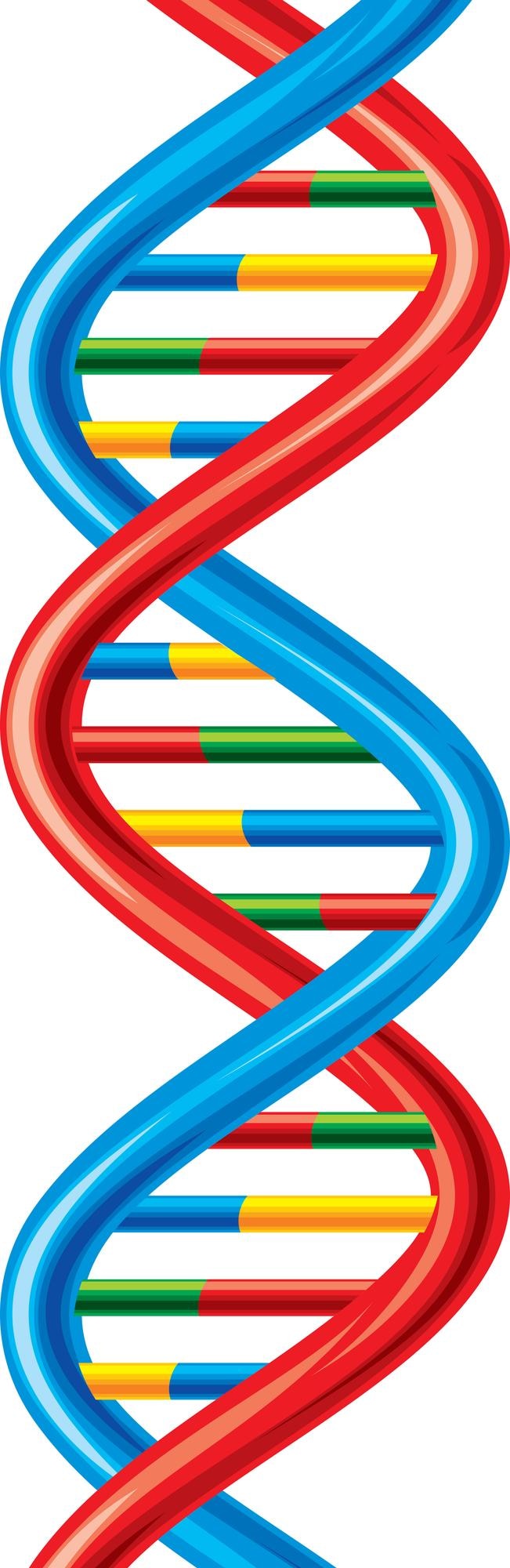 Vector dna strand