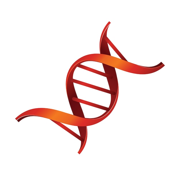 Vector dna strands icon color vector illustration