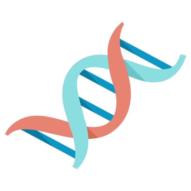 Dna strands icon in flat color style