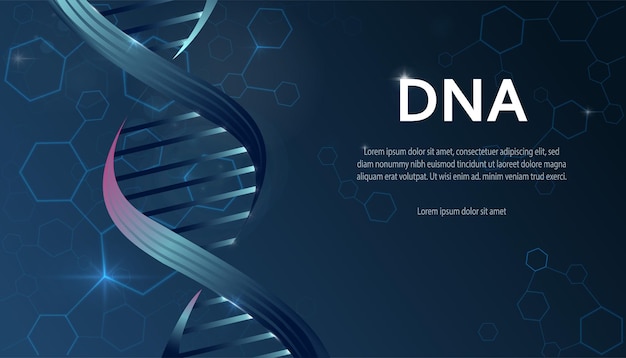 DNA構造バナー
