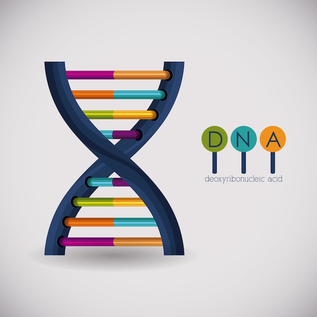 Dna structure chromosome icon