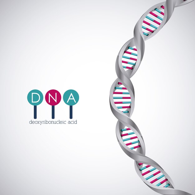 Vector dna structure chromosome icon