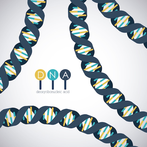 Vector dna structure chromosome icon