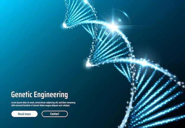 Dna structure genetic engineering web app vector