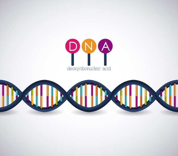 Vector dna-structuur chromosoom pictogram