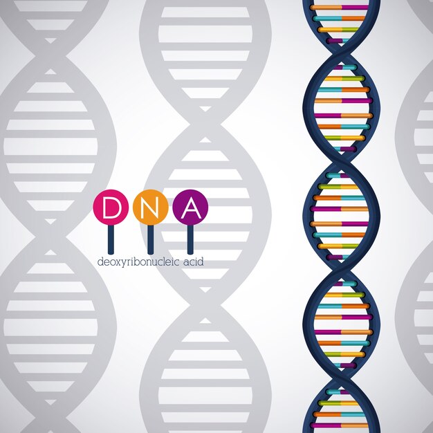 Vector dna-structuur chromosoom pictogram