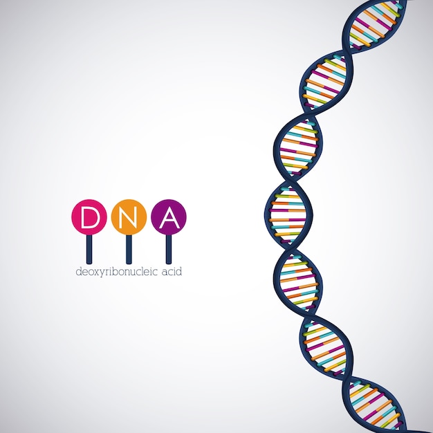 Dna-structuur chromosoom pictogram